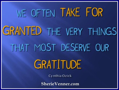 We-often-take-for-granted-the-very-things