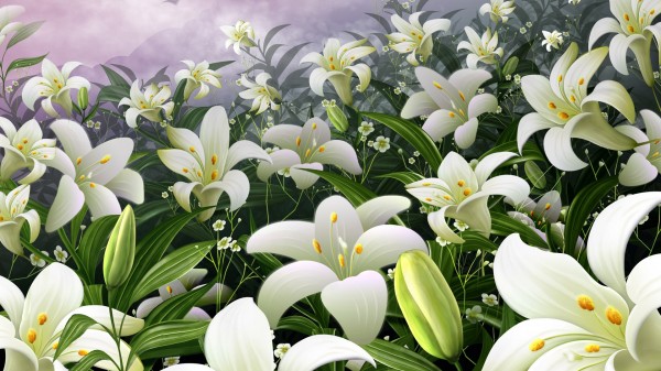 easter-lilies-in-the-field-600x337