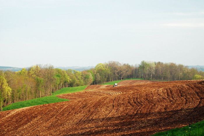 plowed field