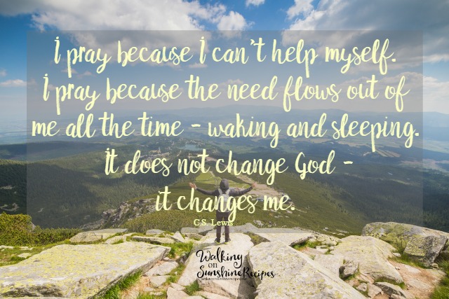 IpraybecauseIcan27thelpmyselffeaturedonWalkingonSunshineRecipes