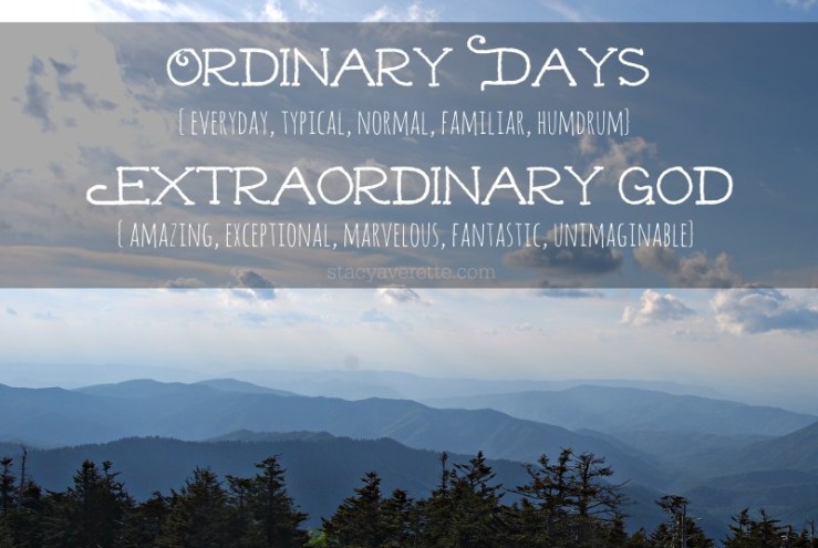 Great Smokey Mountains 2012