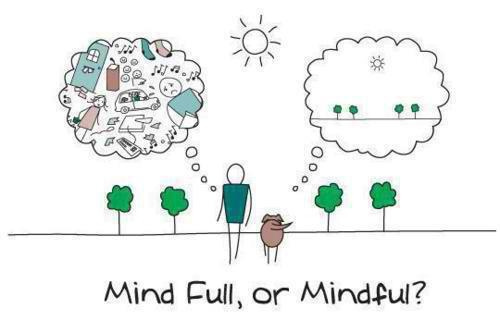 mindful