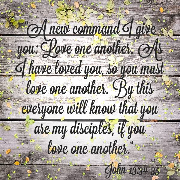 Image result for jesus loved everyone