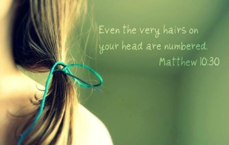 Image result for for even the hairs on your head are numbered"